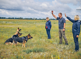 Nederlandse speurhonden ingezet tegen stroperij rode panda in Nepal