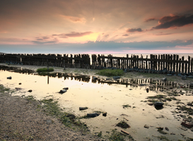 Waddenorganisaties presenteren rapport 'Wadden In Beeld 2021'