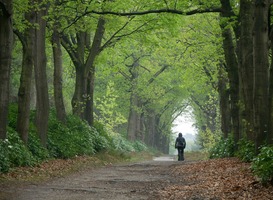 Natuur voor Elkaar trekt met de Groene Karavaan door Overijssel