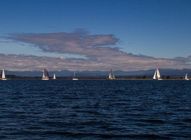 Schippers protesteren tegen komst brug in Elburgse haven