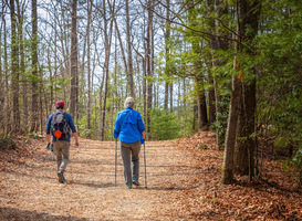 Tim Knol organiseert tweede editie wandelfestival in Hoorn