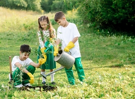 Staatsbosbeheer organiseert 16 november 65e editie Nationale Boomfeestdag