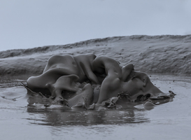 Waterschap bouwt knikkerbaan voor duurzamere verwerking van rioolslib