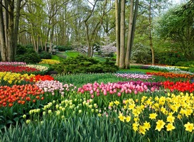 Buitenlandse reizigers in Nederland geven minder uit dan voor corona