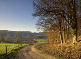 Natuurmonumenten gaat samenwerken met IT-bedrijf ARP