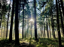 Natuurmonumenten zoekt vrijwillige boswachters in publieksondersteuning