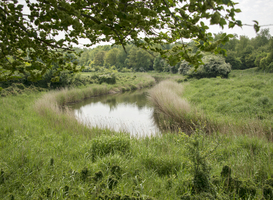 Natuurmonumenten vraagt aandacht voor achteruitgang natuur met speciale wandelroute