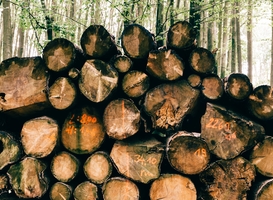 Werkzaamheden langs fietspad Dennescheerderdreef