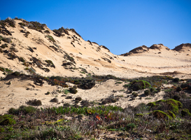 Fietsplatform start actie voor behoud ‘rondje Kattendel’