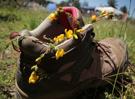 Wandelnet komt met nieuwe NS-wandeling