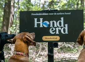 Hondenbrokkenmerk lanceert reclamebord speciaal voor honden