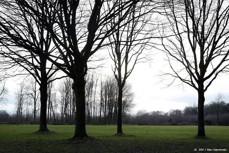 VNG: Vaals is groenste gemeente van het land
