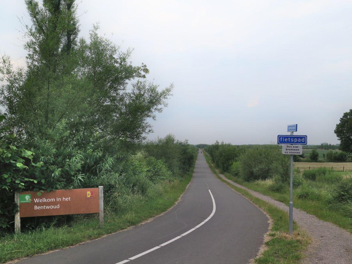 Provincie Zuid-Holland gaat aanleg bossen subsidiëren / Foto: "Bentwoud Zuid-Holland" door AdriaanRo