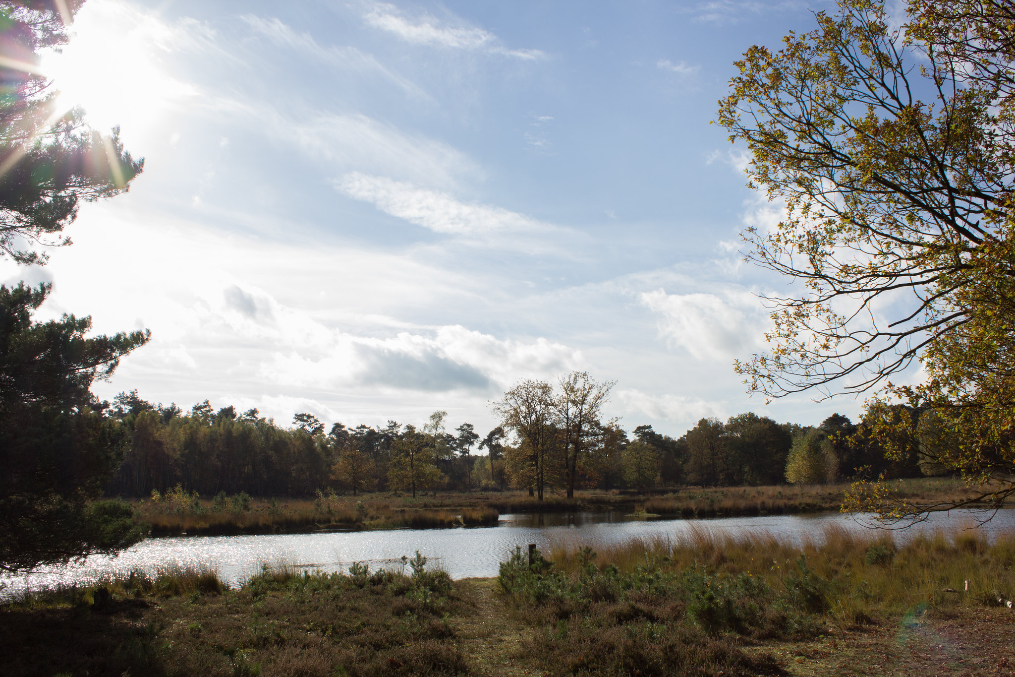 Het Limburgse Landschap organiseert gratis wandeling door natuurgebied Ravenvennen