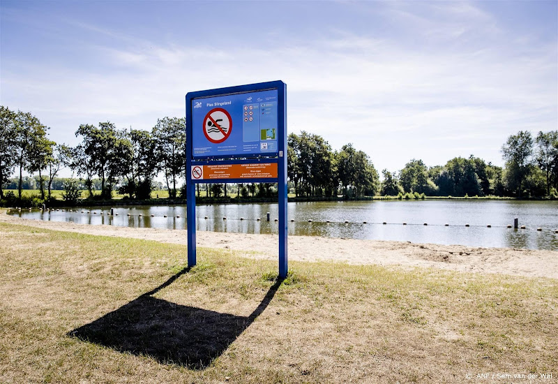 Blauwalg komt weer boven water ondanks regenachtige dagen