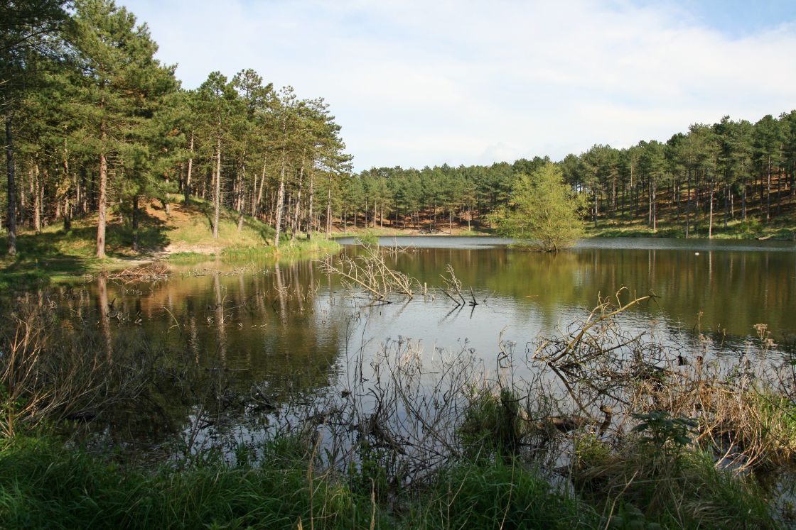Drukte in de Zeeuwse natuur / Foto: "Westenschouwen" door Bert Kaufmann