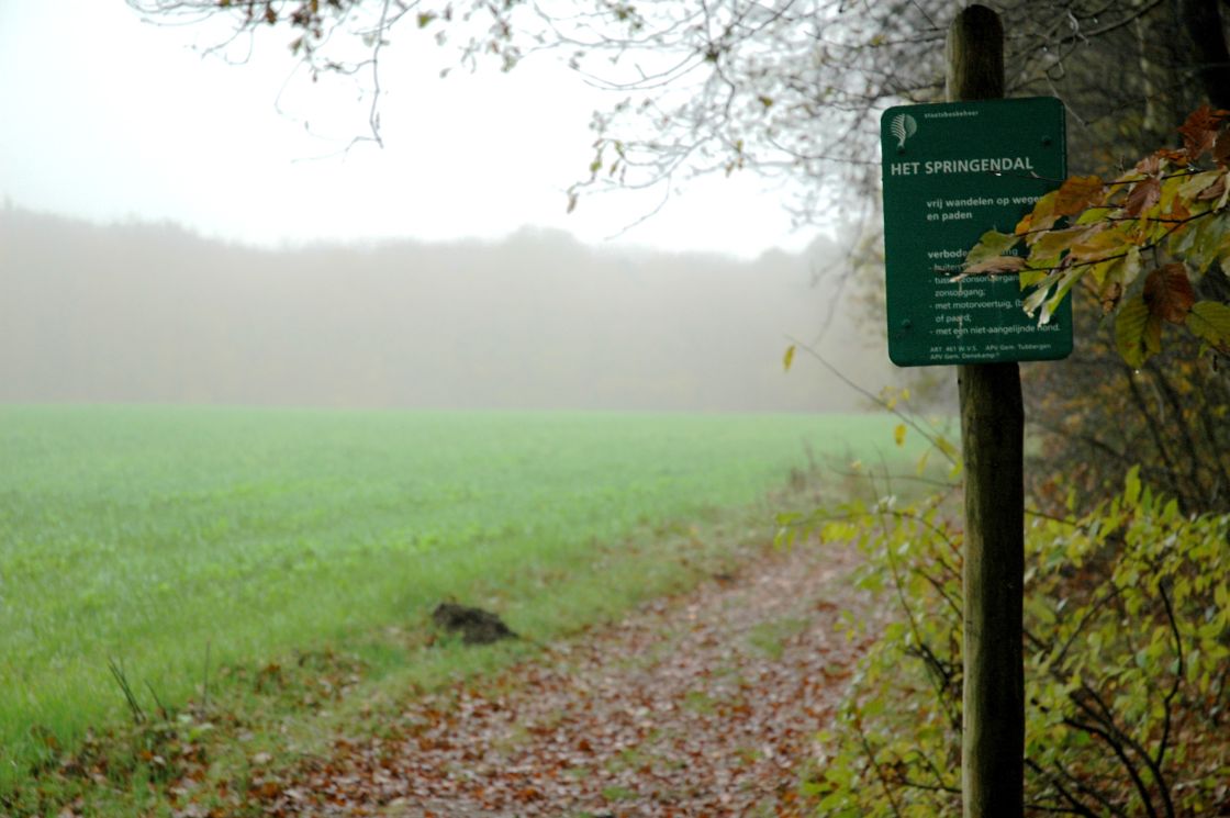 Mysterie rond tapijttegels in natuurgebied in Overijssel opgelost / Foto: "Het Springendal, bij de brandtoren" door Johan Wieland