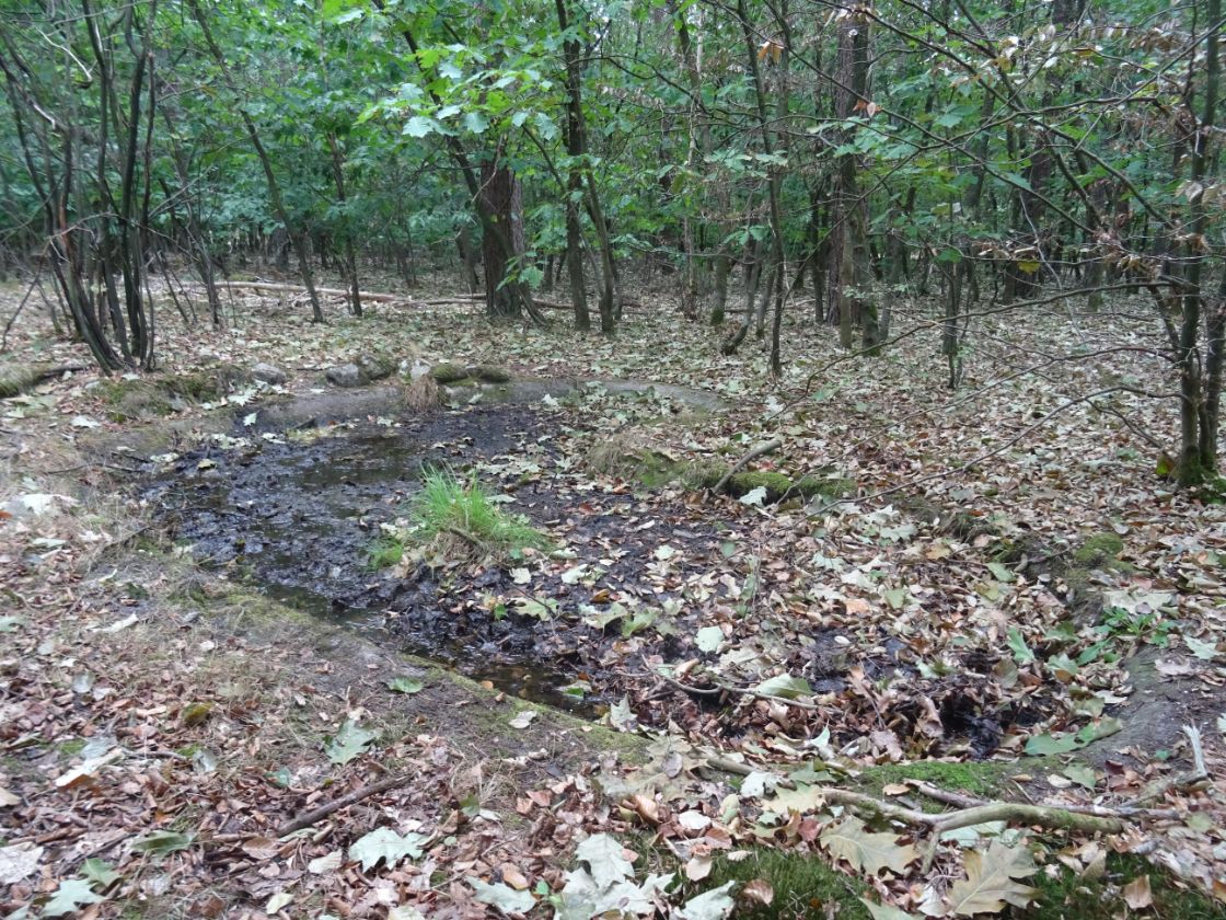 Flinke werkzaamheden in populair Gelders natuurgebied / Foto: "Voormalig vijvertje" door Alex Hoekerd