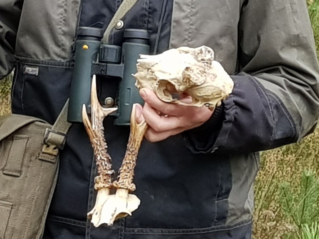 Lezing boswachter Arjan Postma over geheimen van de natuur / Foto: "Boswachter Zurenhoek" door G. Lanting