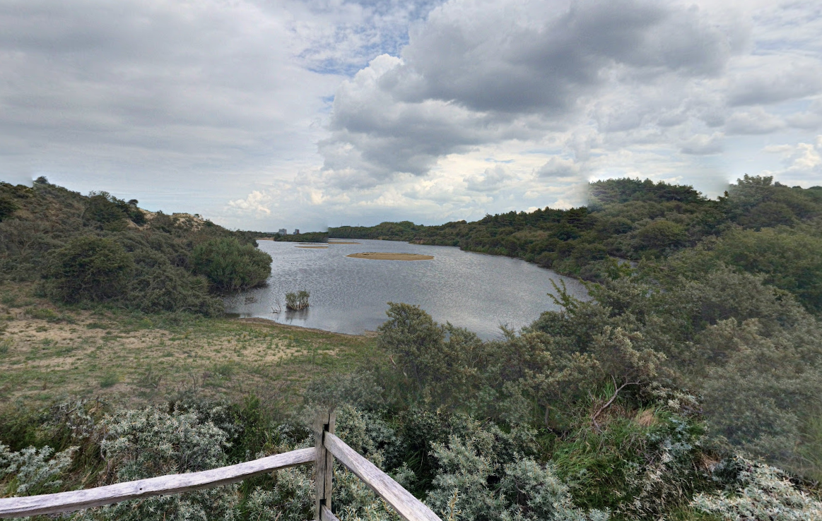 Vrijwilligers zijn onmisbaar voor de natuur in de Noord-Hollandse duinen / Foto: Google Maps https://goo.gl/maps/nFHEqM7DbwgqALDCA