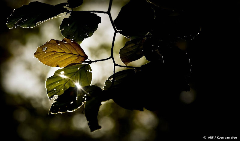 Dertigers-acteur Reiky de Valk op 23-jarige leeftijd overleden