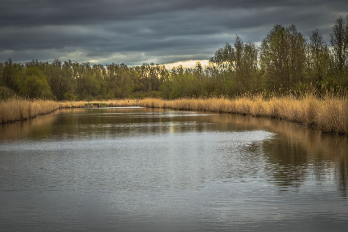 Flevoland heeft als uitzondering weinig landbouwgif in natuur- en recreatiewater / Foto: "Oostvaardersplas" door Ineke Huizing