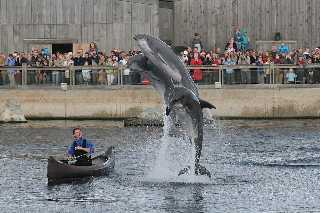 Na NS en ANWB bieden ook NU.nl en AD geen kaartjes meer aan voor Dolfinarium / Foto: "Dolfinarium Harderwijk" door Friesland2k5