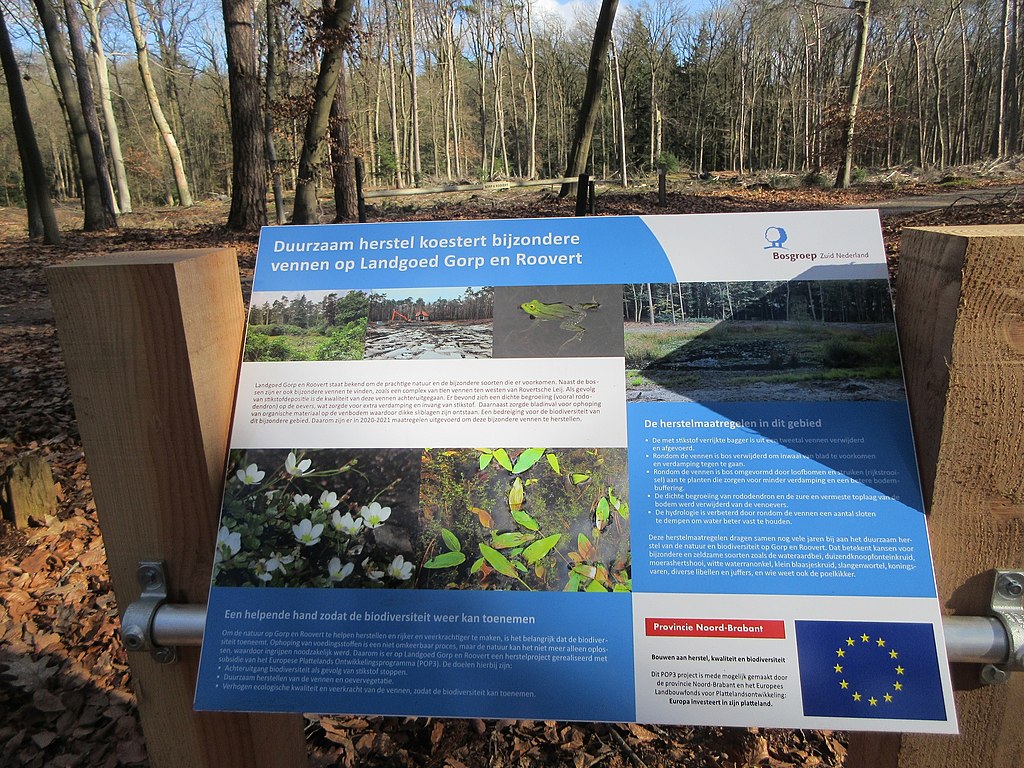 Brabantse bossen hebben het zwaar door stikstof, maar wie beheren die? / Foto: "Landgoed Gorp NL" door FrDr