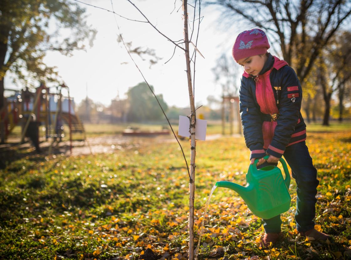 Tuintegels wippen voor gratis planten in Haarlem