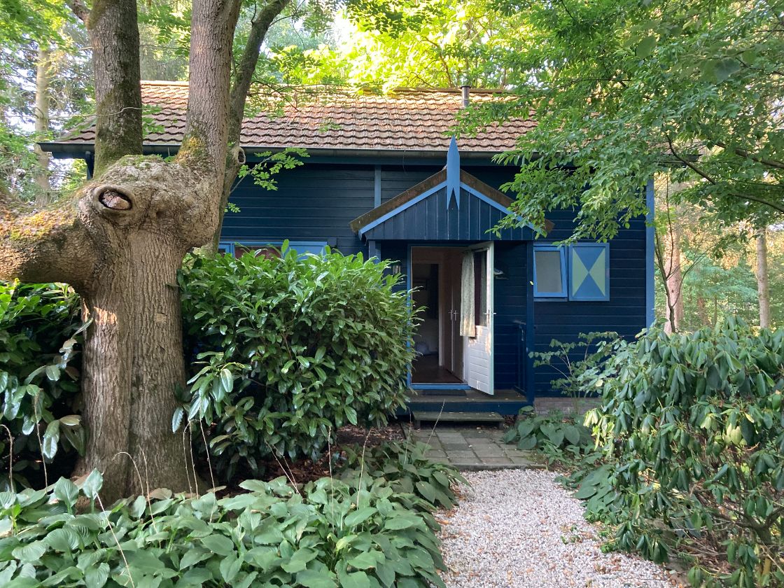 Zuid-Holland staat tóch permanente bewoning vakantieparken toe / Foto: "Boomklever, vakantiehuisjes Dennenoord Vasse" door Johan Wieland