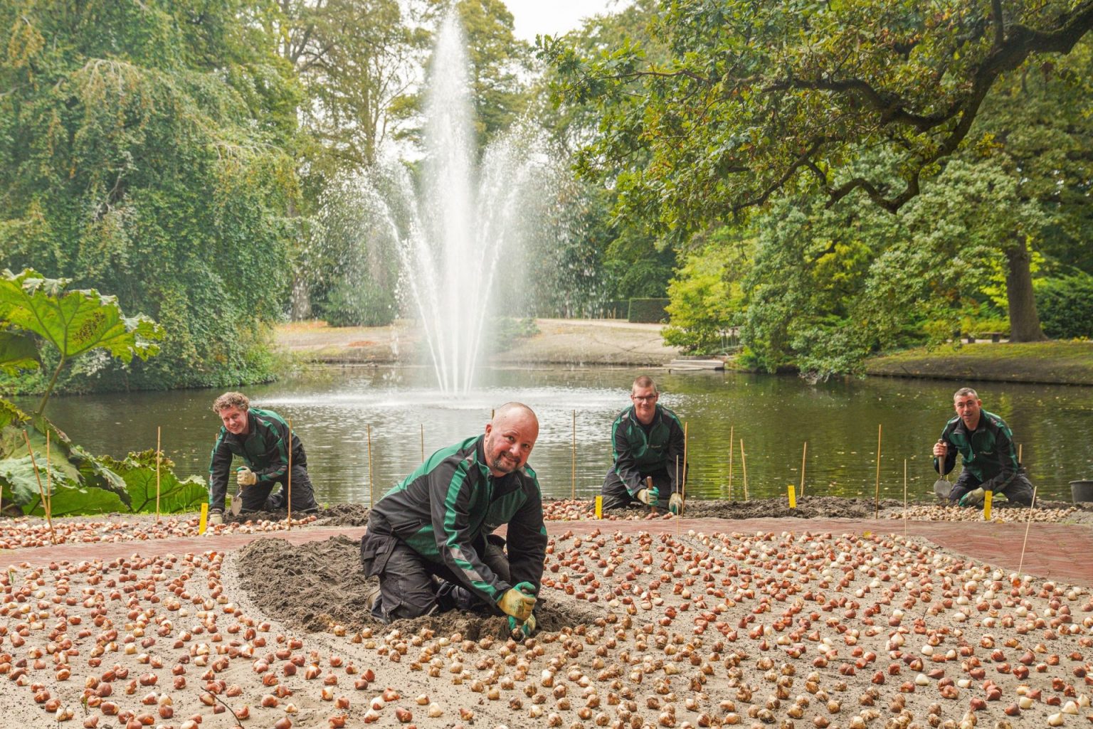 Tuinmannen van Keukenhof planten bloembollen voor jubileumjaar / Foto: Keukenhof
