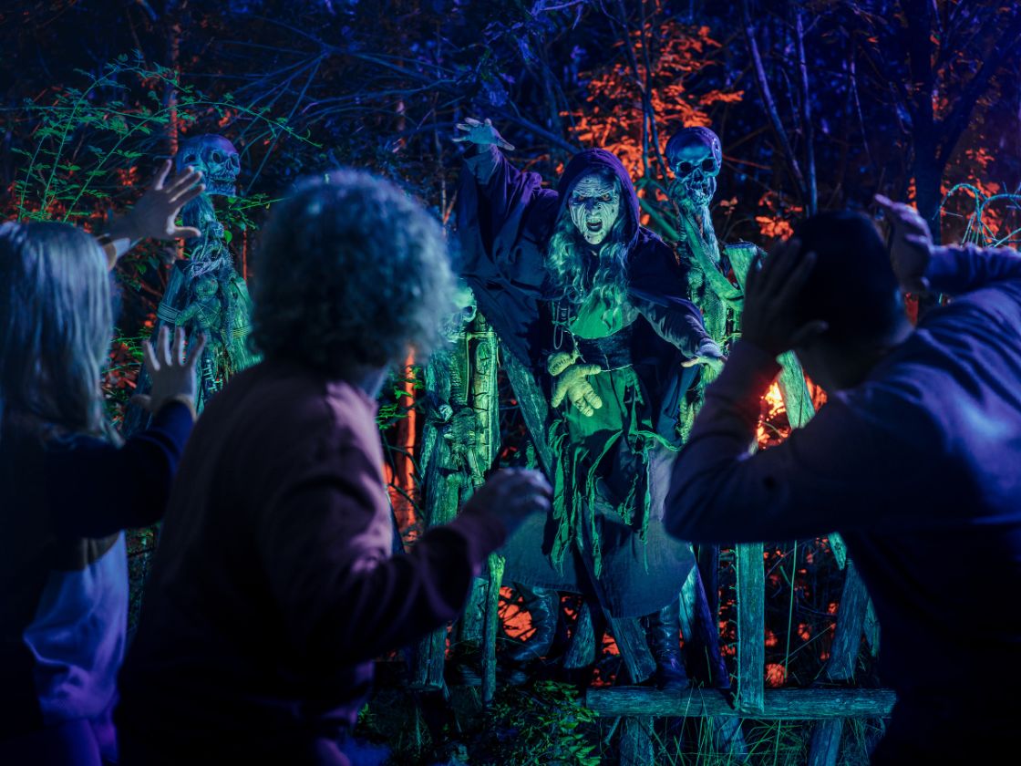Toverland vraagt bezoekers technische storingen nieuw spookhuis te testen / Foto: Halloween in Toverland