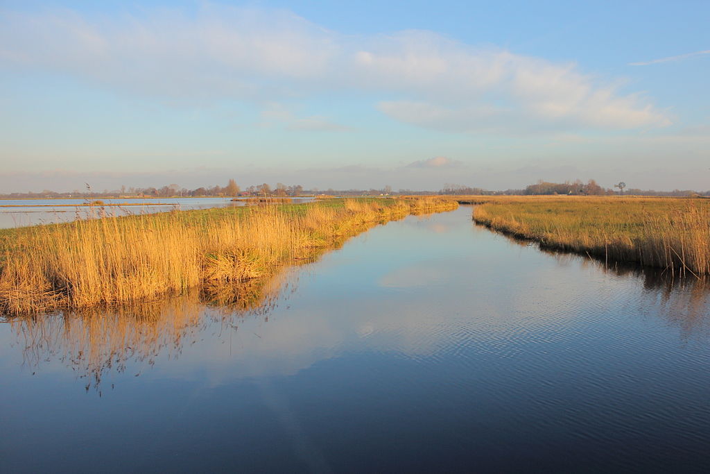 Tot 1 april (geen grap) geen watersport in vogelrustgebieden / Foto: "Lytse Mâr. Locatie De Alde Feanen van het It Fryske Gea 03" door Dominicus Johannes Bergsma