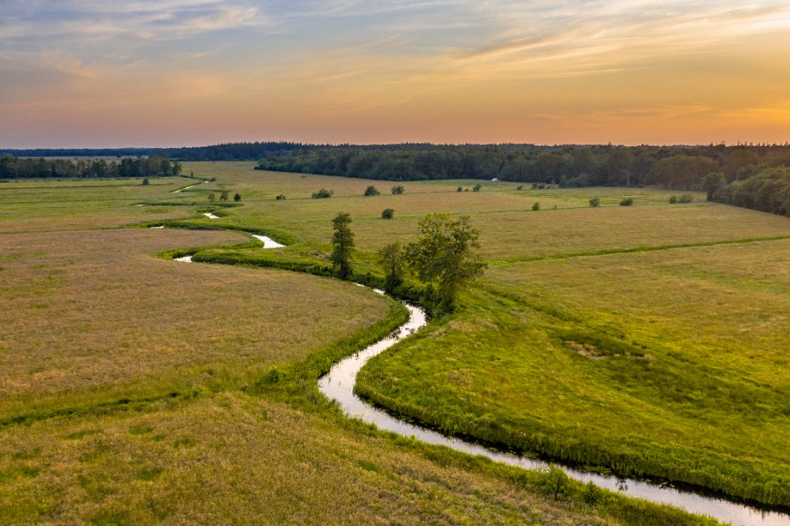 Stikstofneerslag in Natura 2000-gebieden daalt, maar voor veel natuur nog te hoog