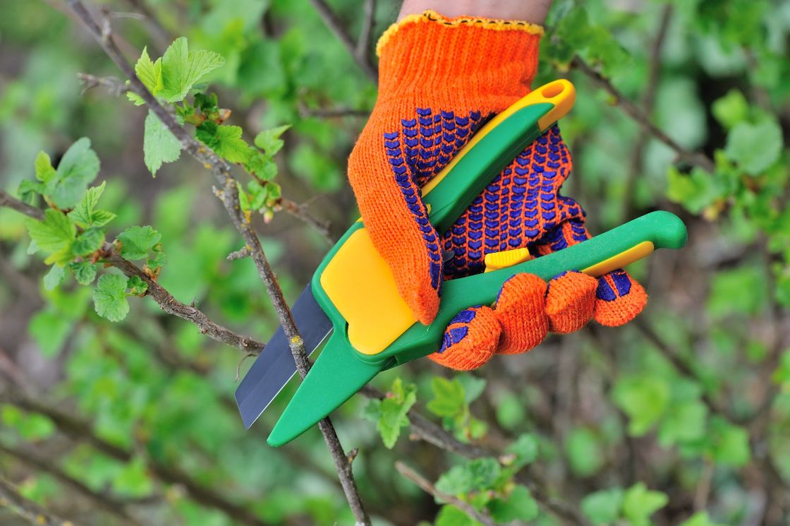 Help klussen in de natuur tijdens de Natuurwerkdag