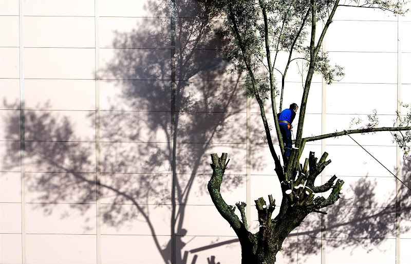 Minder mensen deden mee aan Natuurwerkdag vanwege slechte weer