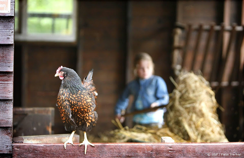 Vogelgriep op kinderboerderij in Alphen aan den Rijn