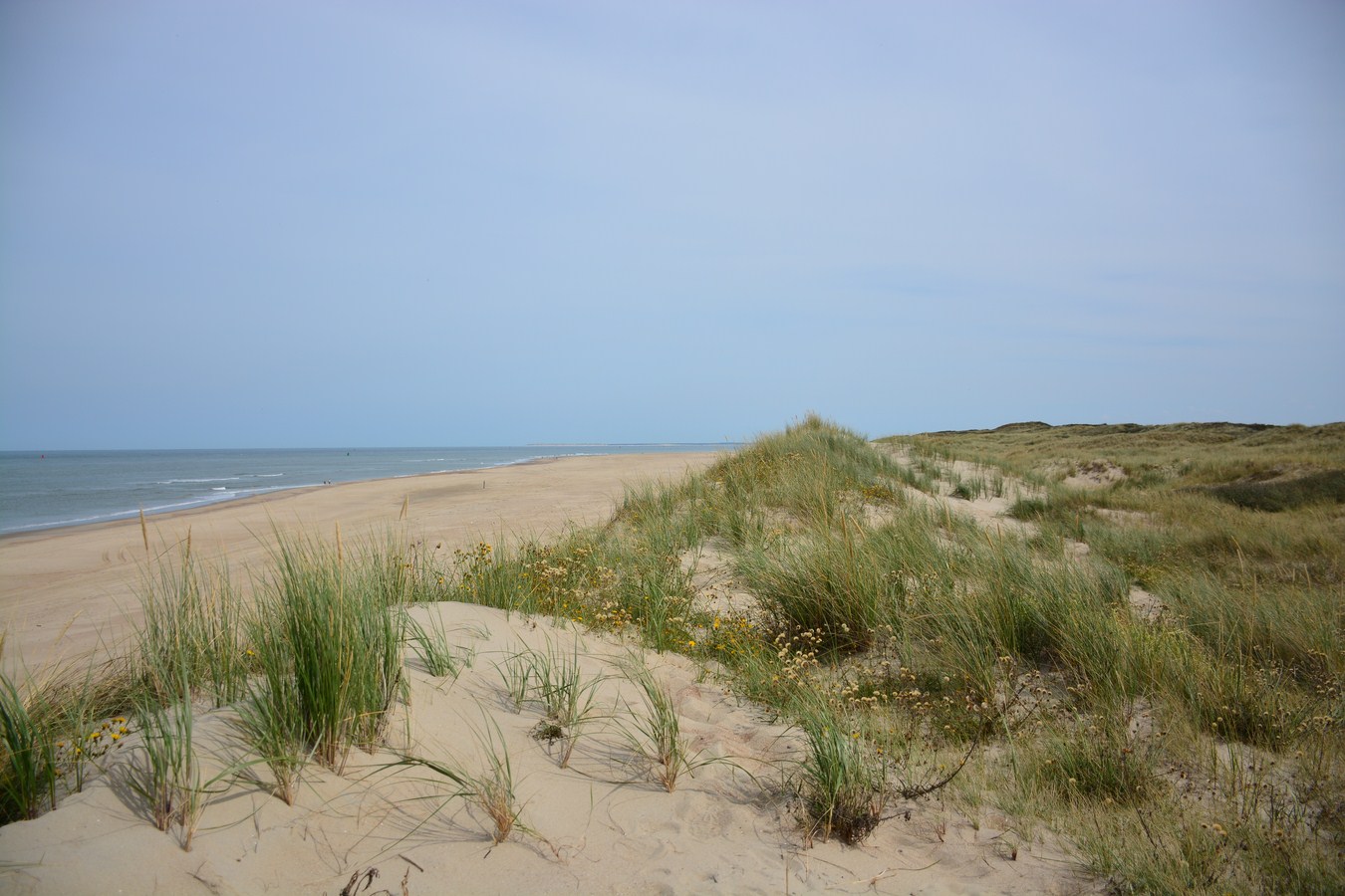 Havenstrand Vlieland krijgt hoognodig onderhoud