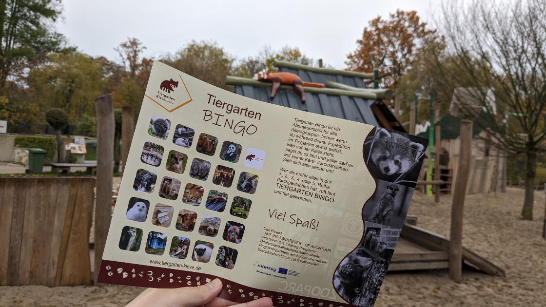 ZooParc Overloon trekt meer Duitse bezoekers door samenwerking Tiergarten Kleve / Foto: ZooParc Overloon