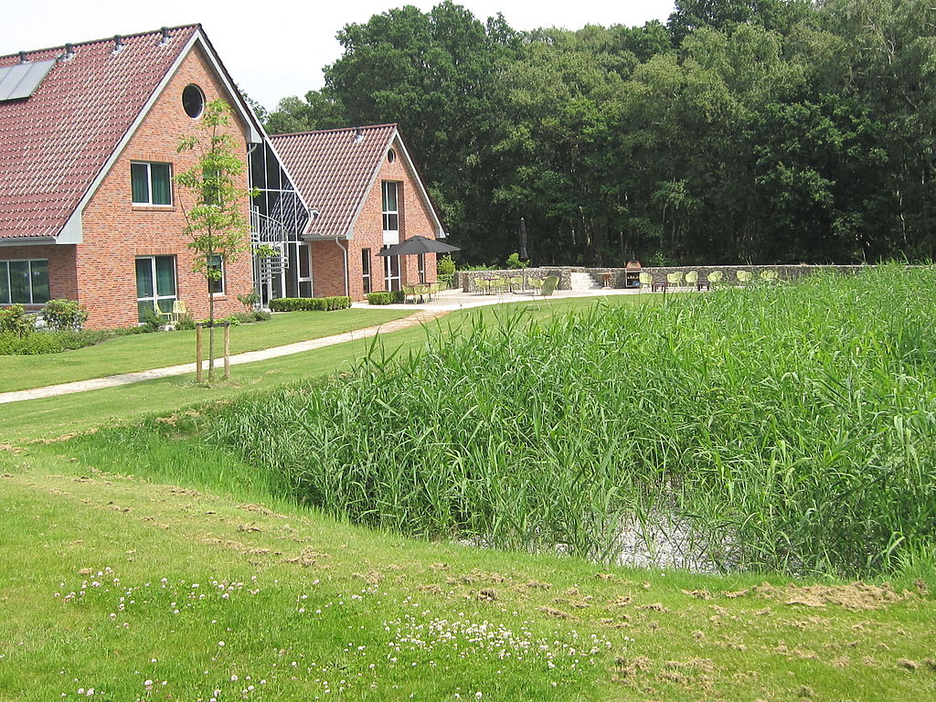 Plannen voor Scandinavisch vakantiepark met bijna 400 woningen in Erica klaar / Foto: "Helofytenfilter bij hotel & golfresort Erica" door Global Wetlands Nederland