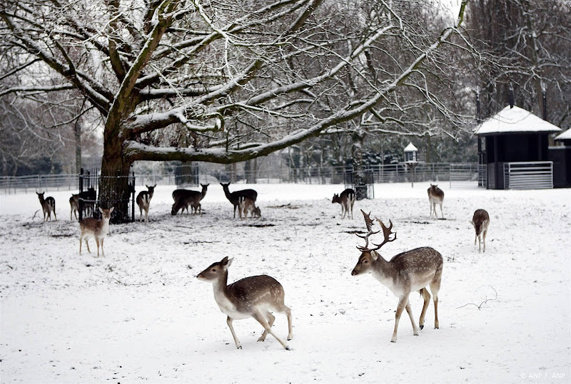 Door aanpassing dierenlijst kunnen hertenkampen blijven bestaan