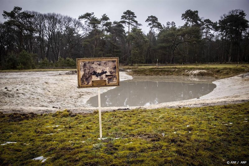 Stichting NatuurAlert verliest kort geding om bomenkap Sallandse Heuvelrug