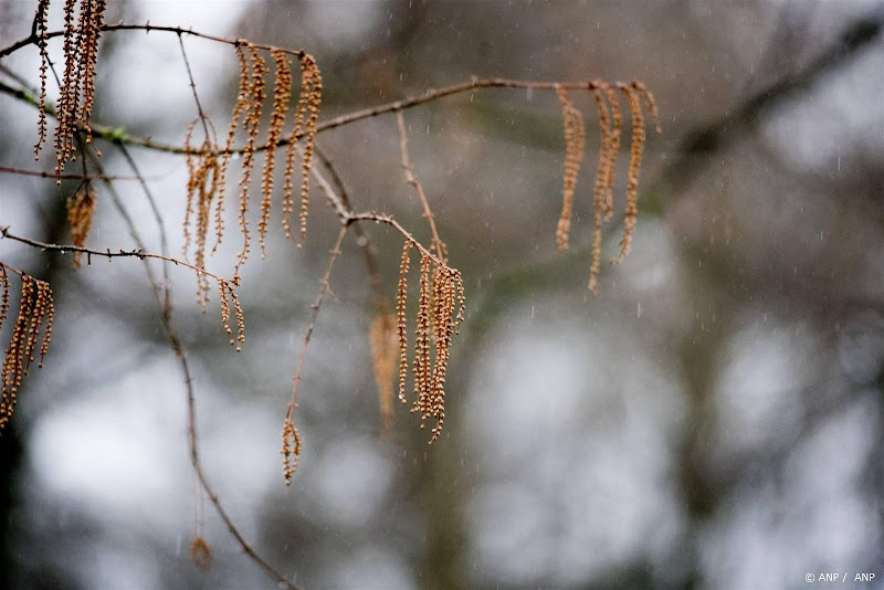 Hooikoortsseizoen begonnen: 'Dit jaar is extreem vroeg, het is totaal niet normaal'