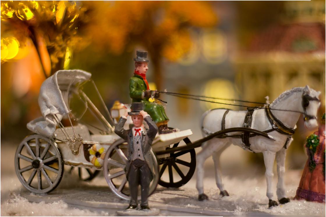 Kerstmarkt in dierenasiel Walcheren om verduurzaming te betalen / Foto: "At the Christmas fair Intratuin Halsteren" door Lennart Tange