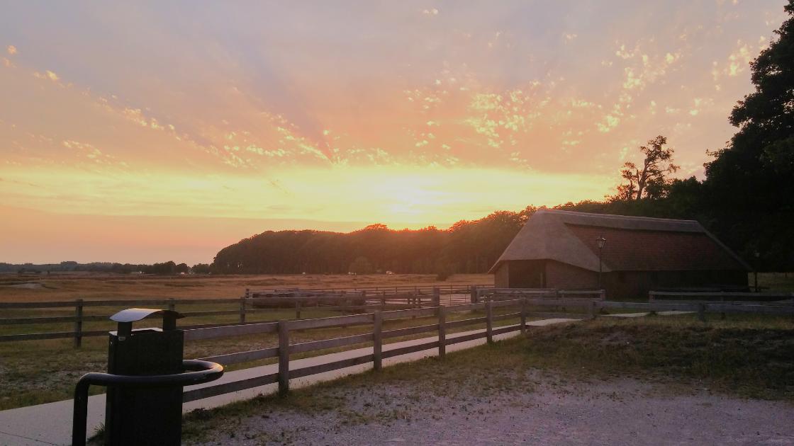 Ginkelse heide bij Ede gaat op de schop / Foto: "Sunset at Ginkelse Heide" door theonewithout