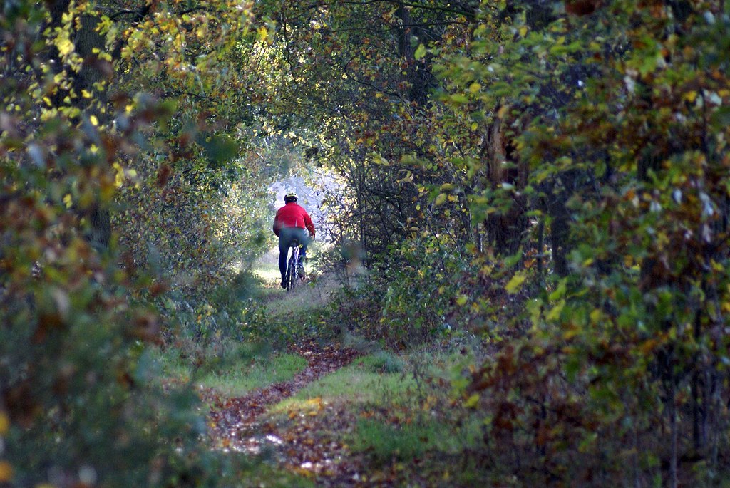 Zo proberen mountainbikers Utrechtse Heuvelrug Staatsbosbeheer een handje te helpen / Foto: "Mountainbike pad Visdonk te Roosendaal" door Jace48