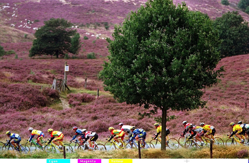 Wielrennen met Posbank