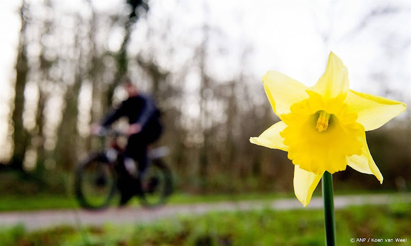 Nooit eerder was februari zo warm als dit jaar