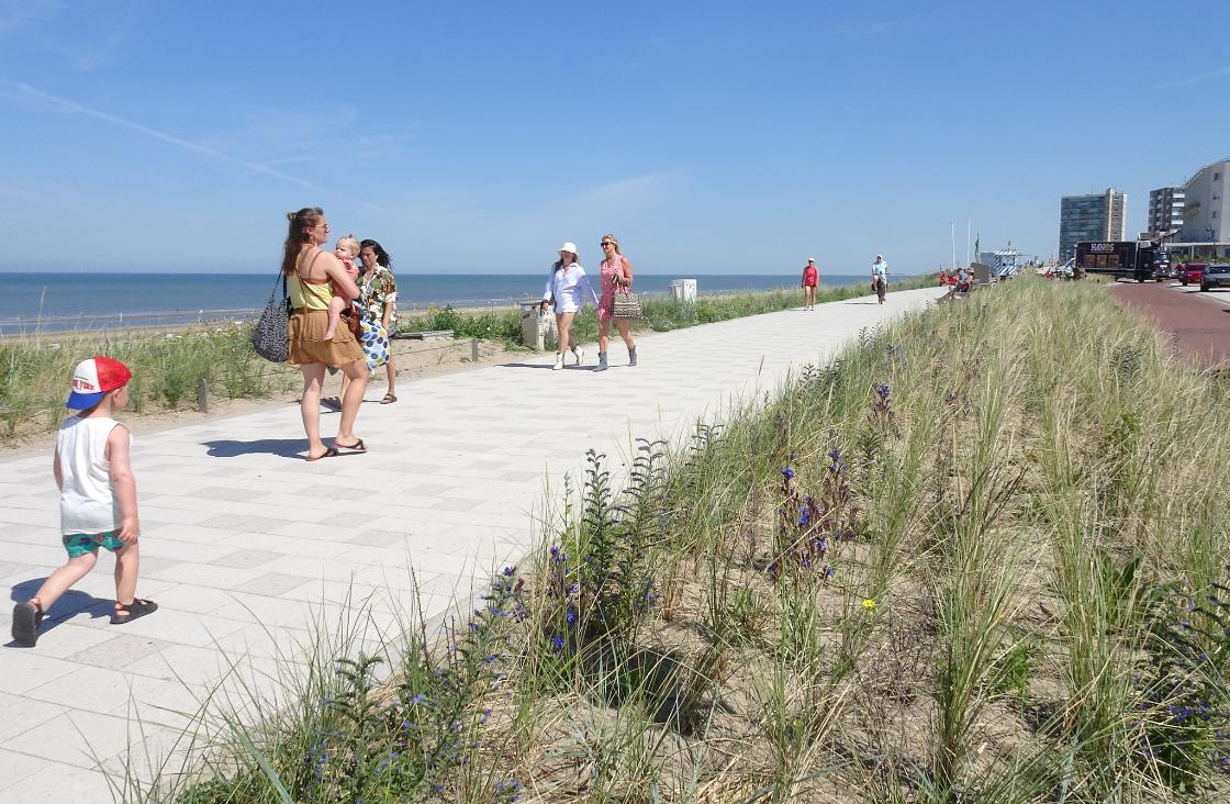Plannen voor luxe vakantiepark bij Zandvoort leiden tot ophef onder omwonenden / Foto: "Paulus Loot, Zandvoort." door Nanda Sluijsman