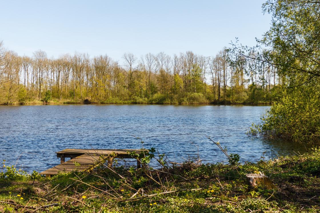 Dit zijn de (nieuwe) toegangsregels voor een bosbezoek op een rijtje / Foto: "Beekdal Linde Bekhofplas. Een waardevol natuurterrein van Staatsbosbeheer in de provincie Friesland." door Agnes Monkelbaan